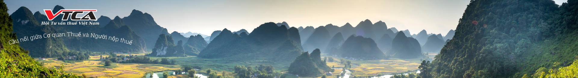 Hội Tư vấn thuế Việt Nam banner.png